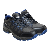 DEWALT   DARLINGTON  SAFETY TRAINER SB SIZE 10
