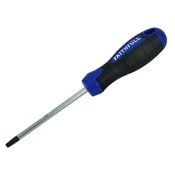 FAI/FULL S/DRIVER STAR T30 X 100MM