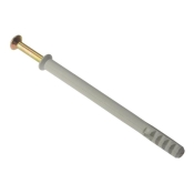 F/FIX   FRAME FIXING C/W PLUG M10 X 100 BAG10