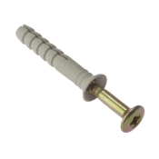 F/FIX   HAMMER FIXING C/W PLUG M10 X 100 BAG10