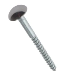 Mirror Screws