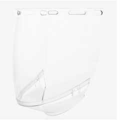 Riley Reon Visor & Chinguard RLY00351