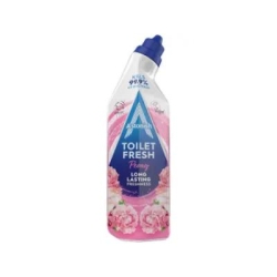 Toilet Cleaner