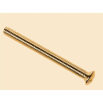 DENCON  SWITCH/SOCKET PLATE SCREWS BRASS 38MM