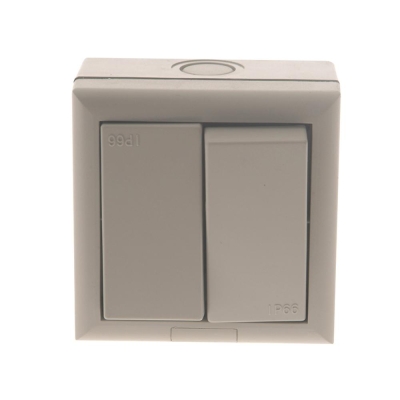 S.M.J    IP66 2 GANG 2 WAY SWITCH